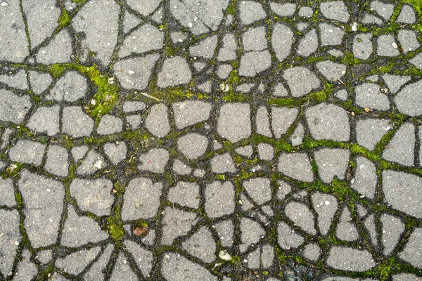 アスファルトの道路が壊れています 舗装の質感が割れました 苔は亀裂の中で成長し — ストック写真