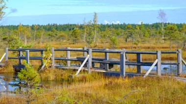 Kemeru, Ulusal Doğa Parkı. Bataklık sulak alanlarında küçük çam ağaçları, bataklık bitkileri ve göletler olan ahşap bir patika. Açık hava aktiviteleri ve sağlıklı bir yaşam tarzı için yürüyüş rotası.