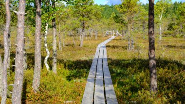 Kemeru, Ulusal Doğa Parkı. Bataklık sulak alanlarında küçük çam ağaçları, bataklık bitkileri ve göletler olan ahşap bir patika. Açık hava aktiviteleri ve sağlıklı bir yaşam tarzı için yürüyüş rotası.