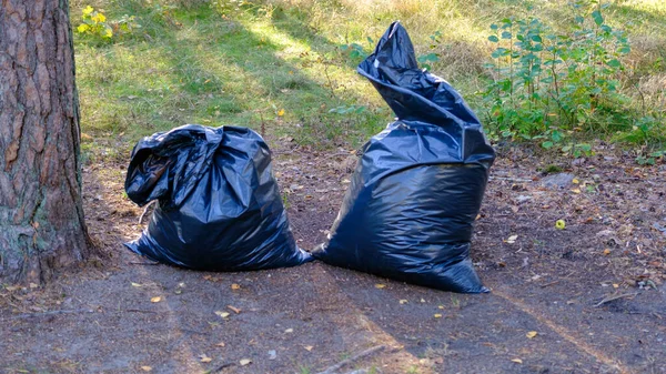 two large black plastic bags with garbage are standing on gray and green grass near a tree in a park near nature