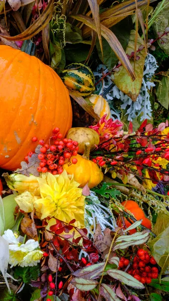 Seizoensgebonden Decoraties Met Pompoenen Bloemen Buiten Herfst Oogst Thanksgiving Halloween — Stockfoto