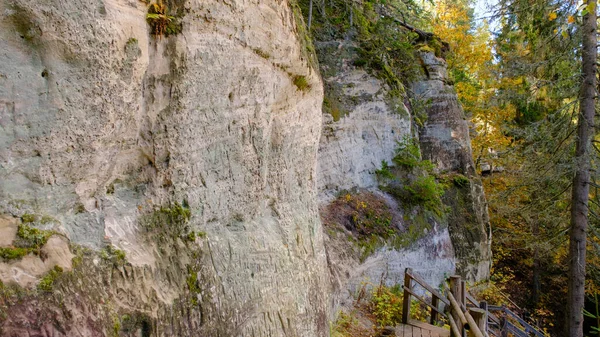 位于拉脱维亚Gauja河岸的Sietiniezis的巨大砂岩悬崖 乘木制楼梯远足的自然景观 10月 Valmiera附近的Gauja国家公园 — 图库照片
