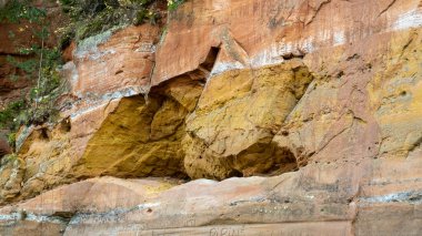 Gauja nehrinin kıyısındaki kum kayası duvarı. Gauja Milli Parkı, Letonya.