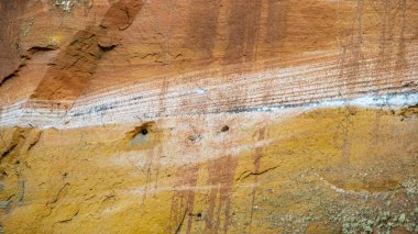 Gauja nehrinin kıyısındaki kum kayası duvarı. Gauja Milli Parkı, Letonya.
