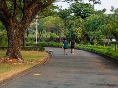 COVID-19 'un bağışıklık sistemini covid-19 için geliştirmesi sırasında halk parkı Suan Luang Rama IX, Bangkok' ta egzersiz yapıyor..