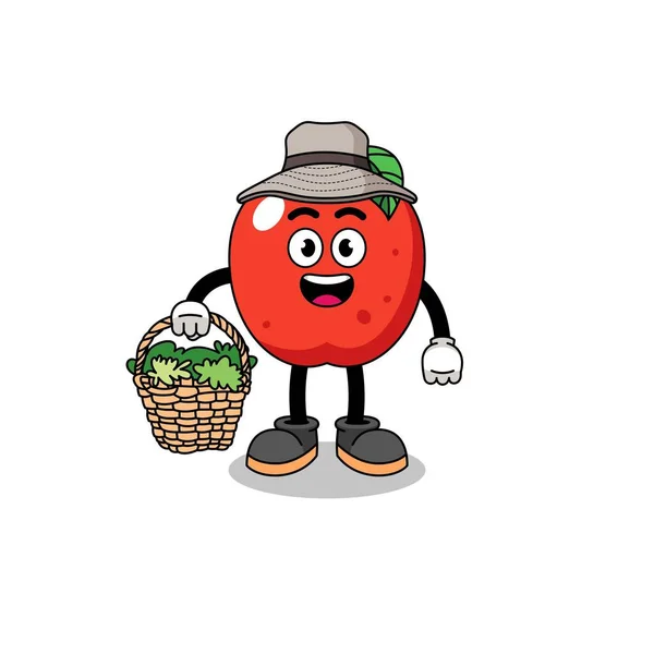 Personaje Ilustración Manzana Como Herbolario Diseño Personajes — Vector de stock