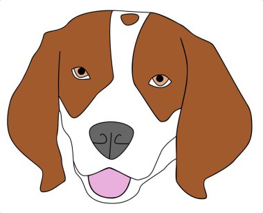 Beyaz arka planda izole edilmiş Beagle karikatürü. Beagle başı renkli illüstrasyon.