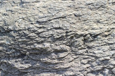 arkaplan için kaya dokusu