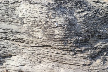 kayaların yüzey dokusu fotoğraf konseptini kapat.