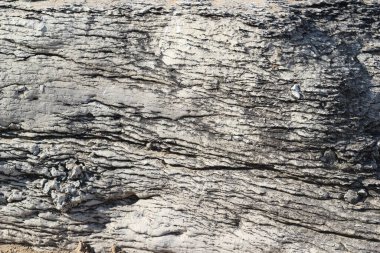 kayalar gri yüzey. Dağcılık fotoğraf fikri.