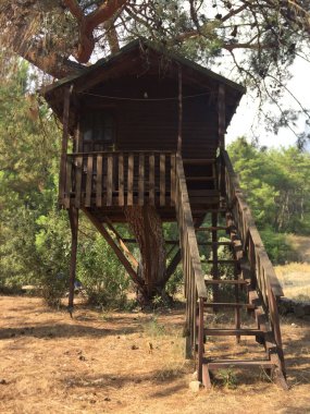 Sırt çantalı gezginler için merdivenli ağaç ev. Ağaç evi çocukları bahçeyle oynuyor. Ormandaki kulübe. Doğa minimalist yaşam tarzı mobil fotoğrafçılık fikri.