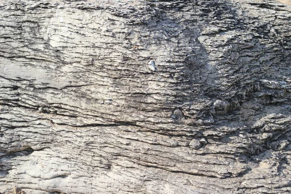 kayaların yüzey dokusu fotoğraf konseptini kapat.