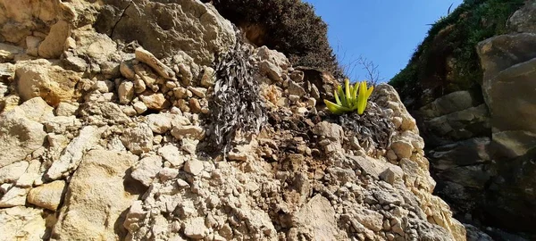 Dağ kayaları vahşi sularla doludur..