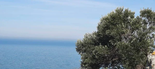 수평선을 하늘입니다 바위에 초목들 — 스톡 사진