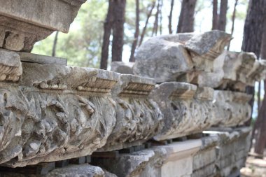 Antalya, Türkiye - Eylül 05 2020: Antalya Phaselis Antik Kenti. Harabeler, bazı şekillerle misketler..
