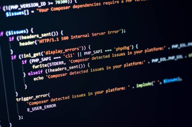 Yazılım geliştiricisi php kodlaması yapıyor. Programcı web arka ucu kodlaması yapıyor. Seçici bir odak ile