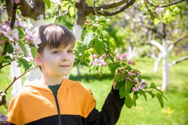 Baharda çiçek açan elma ağaçlarının yanındaki bahçede..