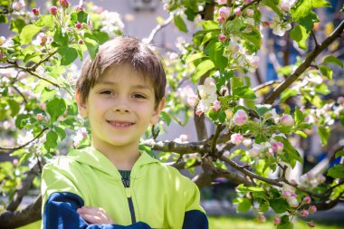 Baharda çiçek açan elma ağaçlarının yanındaki bahçede..