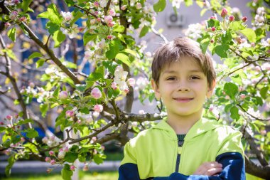 Baharda çiçek açan elma ağaçlarının yanındaki bahçede..