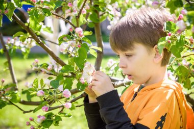 Bahar bahçesinde elma açan çocuk..