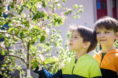 Çiçek açan yaban elmasının yanında duran iki çocuk, bahar bahçesinde çiçek açıyor. Arkadaşlık kavramı.
