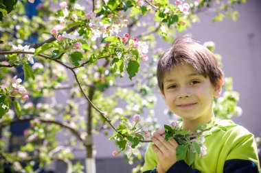 7 yaşındaki bir çocuk bahar öğleden sonra çiçek açan bir ağaca bakar..