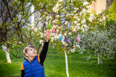 Paskalya günü bahar bahçesinde yumurta arayan küçük bir çocuk. Geleneksel Paskalya festivali. Taze bahar ağaçlarında saklı yumurtalar..