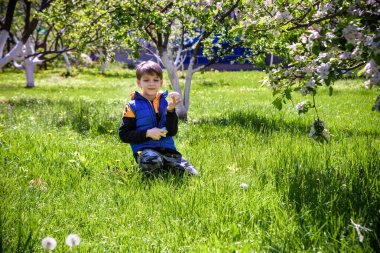 Paskalya günü bahar bahçesinde yumurta arayan küçük bir çocuk. Geleneksel Paskalya festivali. Taze bahar çimlerinde saklı yumurtalar.