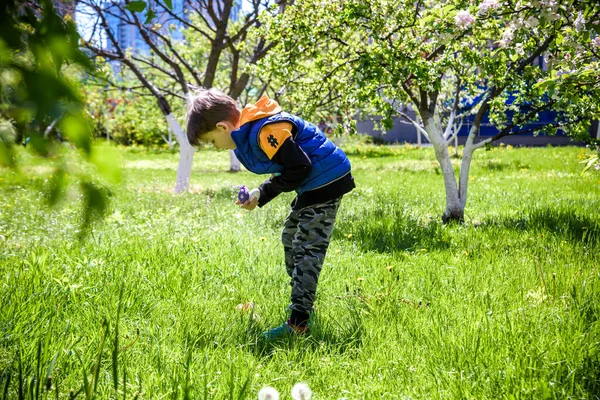 Niño Cazando Huevos Jardín Primavera Día Pascua Fiesta Tradicional Pascua — Foto de Stock
