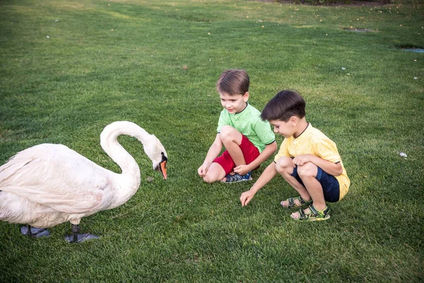 Cuidado Seguridad Del Concepto Animales Dos Niños Alimentándose Jugando Con — Foto de Stock