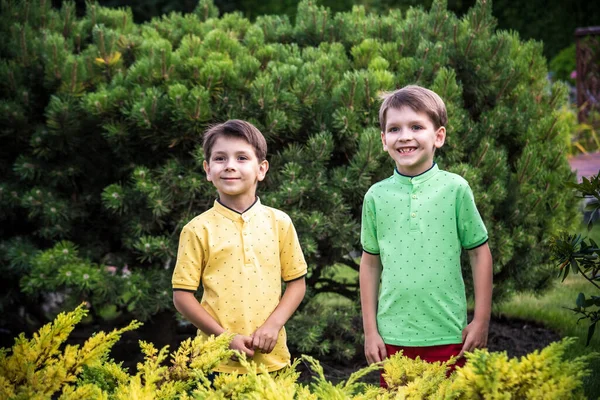 Dışarıda oynayan bir grup mutlu çocuk. Çocuklar yaz tatilinde parkta eğleniyorlar. Güneş gözlüğü takıp gülümseyen arkadaşlar. Yaz tatili kavramı.