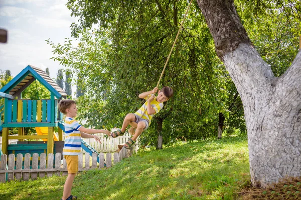 Zwei Entzückende Glückliche Kleine Jungen Amüsieren Sich Auf Einer Seilschaukel — Stockfoto
