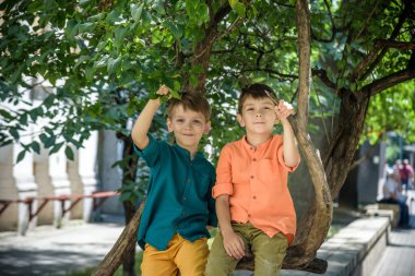 İki beyaz erkek kardeş parlak gündelik giysiler içinde bir ağaçta oturuyor. Şehirde yaz yürüyüşü. Turizm ve seyahat kavramı.