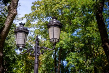 Şehir parkındaki bir ara sokak boyunca uzanan gaz lambalarından biri..