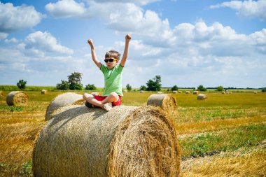 Küçük çocuk, elleri yukarıda, samanlıkta rahat bir şekilde oturuyor. Mavi gökyüzünün altında hasattan sonra yuvarlak balyalarla dolu bir tarla. Büyük yuvarlak saman balyaları, demetler, saman yığınları.