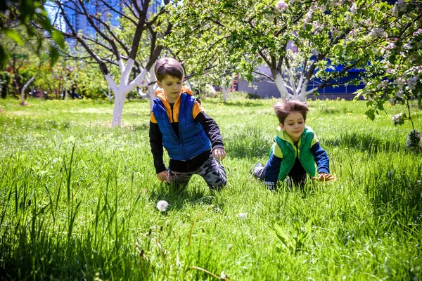 Paskalya yumurtası avındaki çocuklar bahar bahçesinde. Çiçek çayırında renkli yumurta arayan çocuklar. Küçük çocuk ve kardeşi arkadaşı çocuk dışarıda oynuyorlar..