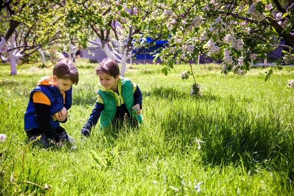 Paskalya yumurtası avındaki çocuklar bahar bahçesinde. Çiçek çayırında renkli yumurta arayan çocuklar. Küçük çocuk ve kardeşi arkadaşı çocuk dışarıda oynuyorlar..