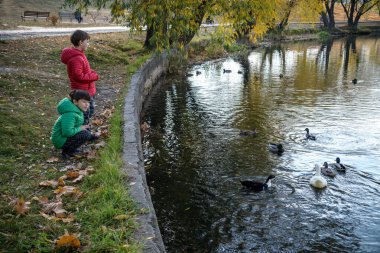 İki çocuk açık şeffaf gölde yaban ördeklerini ve küçük balık sürülerini besliyor. Erkek kardeşler en iyi arkadaşlardır. Yaz tatili arkadaşlık kavramı.
