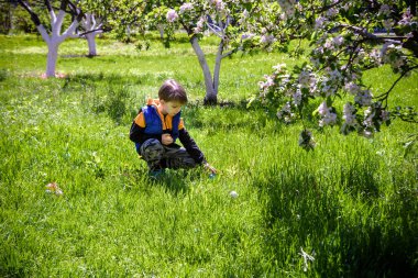Paskalya günü bahar bahçesinde yumurta arayan küçük bir çocuk. Geleneksel Paskalya festivali. Taze bahar çimlerinde saklı yumurtalar.