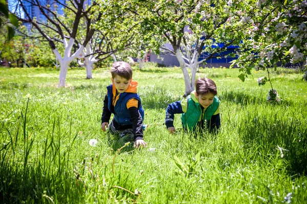 Los Niños Búsqueda Huevos Pascua Floreciente Jardín Primavera Niños Busca — Foto de Stock