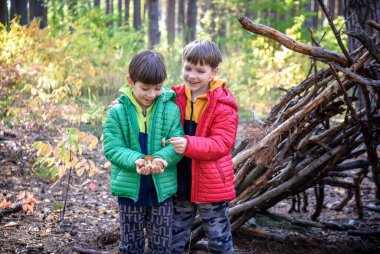 Bahar ya da sonbahar çam ormanlarında oynayan iki kardeş kardeş bir kulübe inşa etmişler. Çocuklarla vakit geçirmek için..