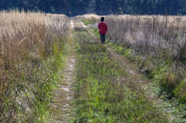 Genç bir çocuk tarlada oynuyor. Çocuk, elleri farklı yönlerde sahada koşuyor. Çocuklar eğlenceli oyunlar. Çocuk konseptiyle doğa eğlencesi.