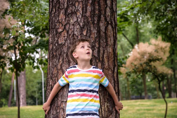 Little Boy Hugs Tree Trunk Children Love Nature Sustainability Concept — Stock Photo, Image