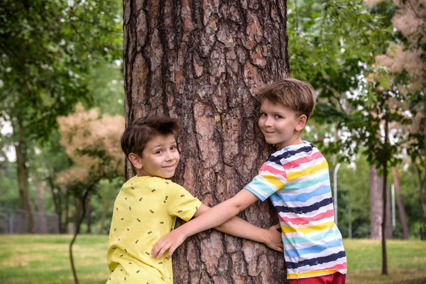 Two Little Boys Hugs Tree Trunk Children Love Nature Sustainability — Foto de Stock