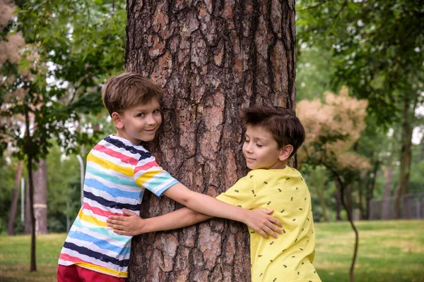 Dos Niños Pequeños Abrazan Tronco Árbol Los Niños Les Encanta — Foto de Stock