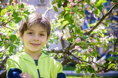 Baharda çiçek açan elma ağaçlarının yanındaki bahçede..