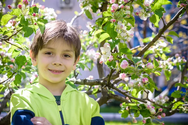 Baharda çiçek açan elma ağaçlarının yanındaki bahçede..