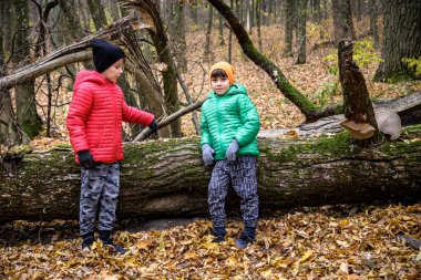 Sırt çantalı iki çocuk ve kardeş kardeş ağaç kabuklarını incelerken orman doğasını ve çevreyi araştırıyorlar. Açık hava ekoloji okulunda güneşli bir gün.