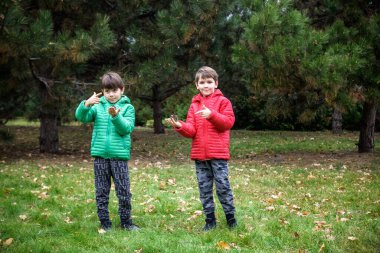 Ormanda yürüyüş yapan iki çocuk. Bebeklerle ve küçük çocuklarla yürüyüş yapmak. İlk yürüyüş, macera ekibi. Çocuk ormanlık aktiviteleri. Kardeşler çam kozalağıyla oynar.