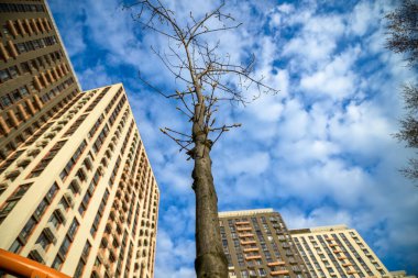 Moskova ofis merkezinin fütürist taş ve cam binalarının dipteki görüntüsü. Şehir dışı mimarisinin detaylı resimleri. - Evet. Mimarlık elementi.